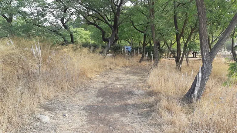 שביל החצבים