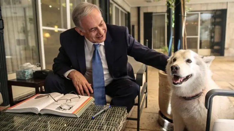 Биньямин Нетаньяху и собака Кайя. (Архив)