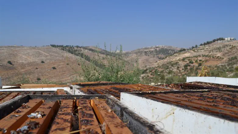 Beehive in South Hevron Hills
