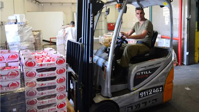 נערכים לראש השנה