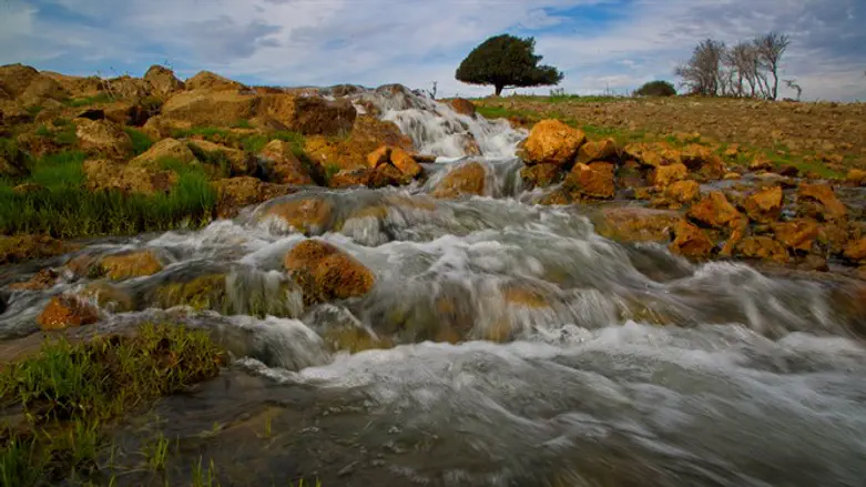 אין בעיה של "כיבוש". מעיינות בנחל עורבים בגולן