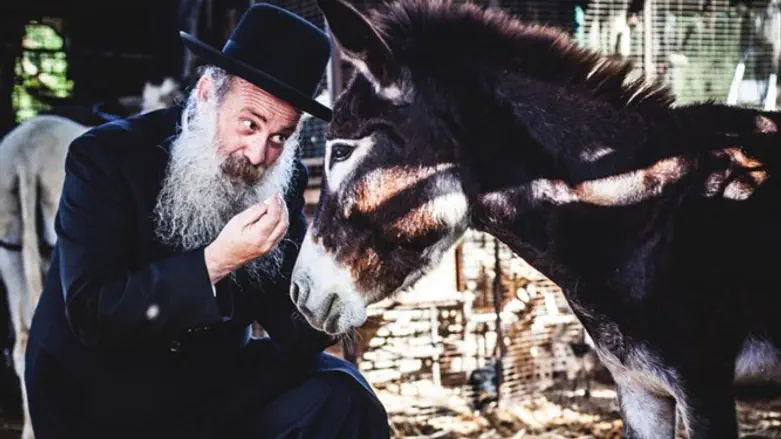 האם מחסום האלבום השני נשבר? שולי רנד