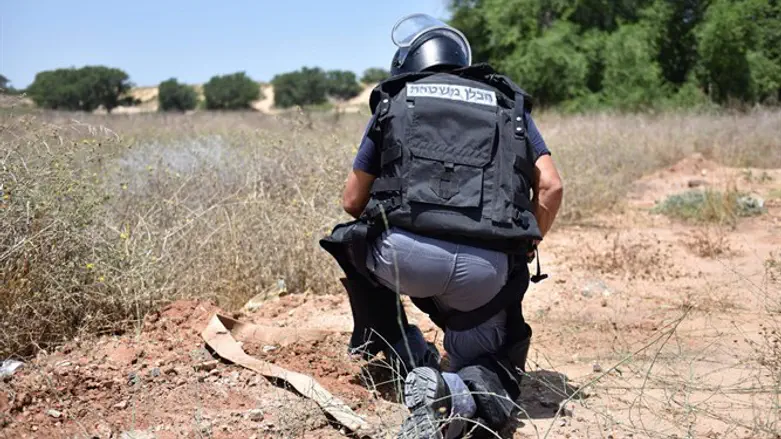 Police sapper