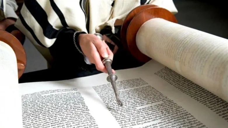 Torah reading