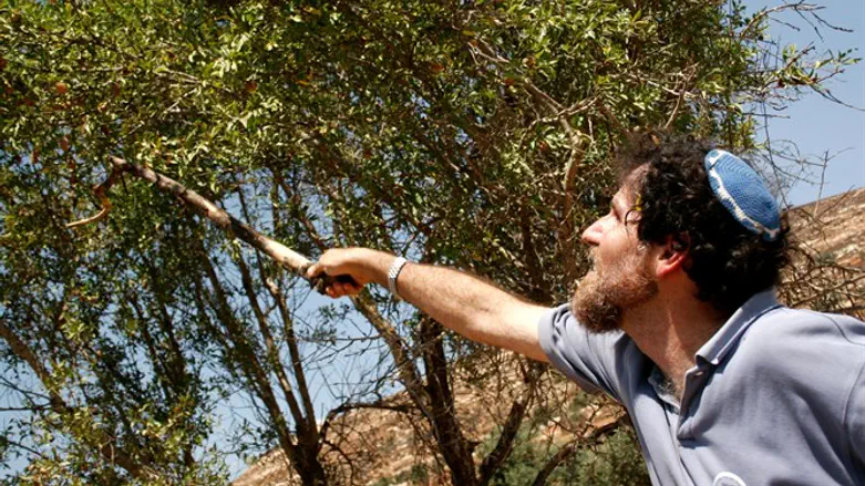 אריק אשרמן