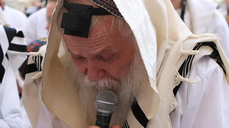Rabbi Chaim Druckman
