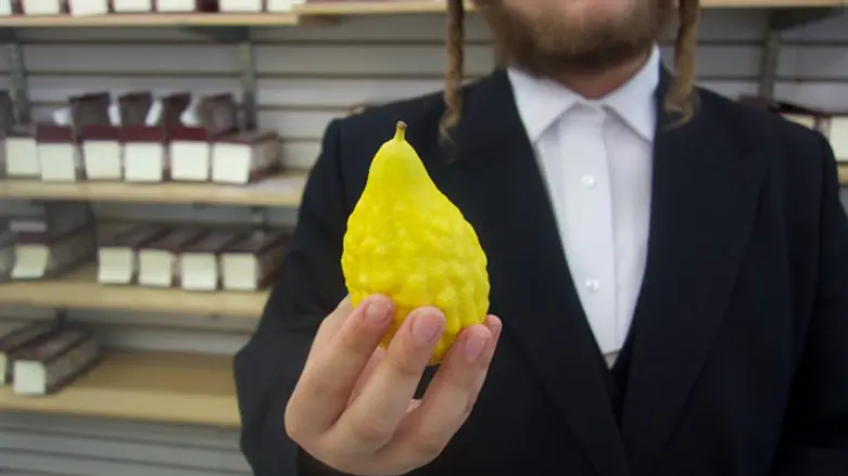 Etrog