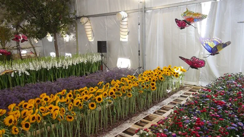 Israeli Agricultural Park