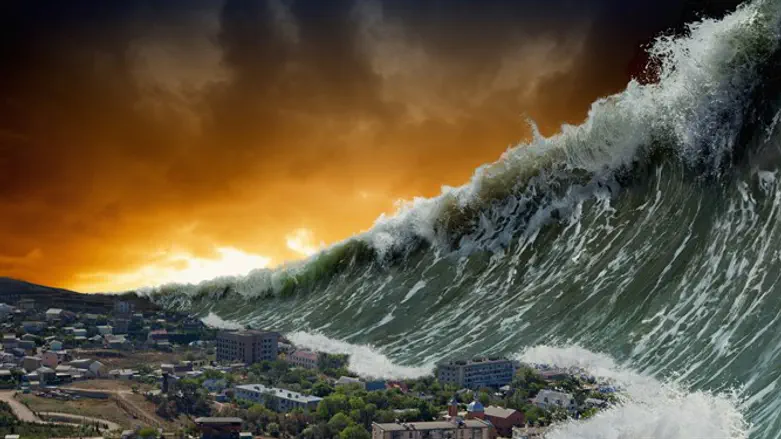 צונאמי