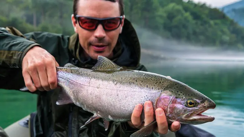 זהירות על הראש- גשם של דגים