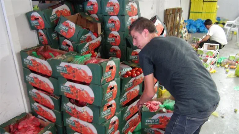 אילוסטרציה