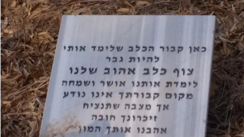 בית קברות ליד השביל