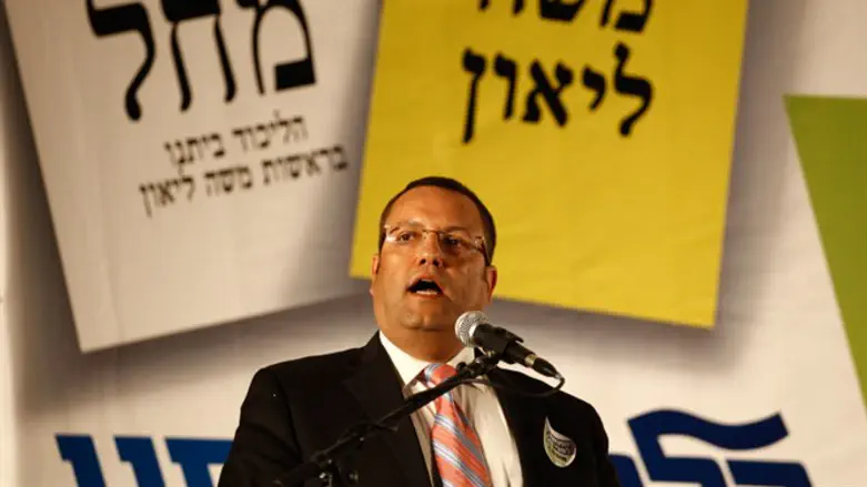 Moshe Lion