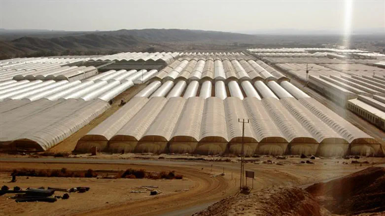השטחים החקלאיים במובלעת צופר בערבה