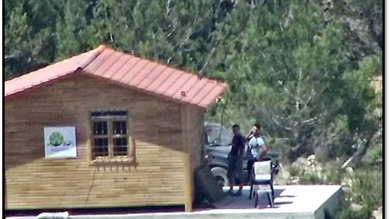 «Зеленые без границ». Наблюдательный пост