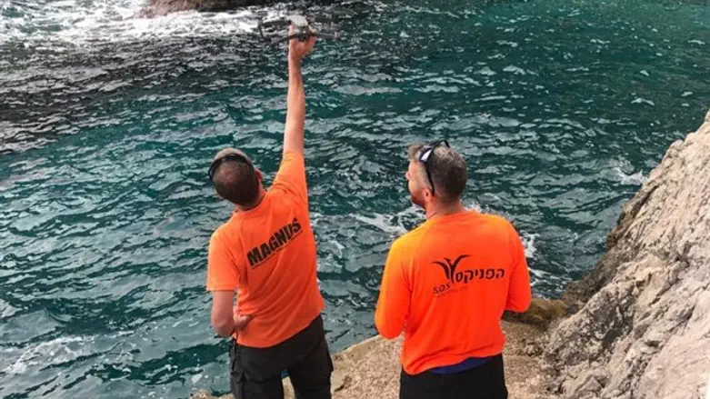 צוותי החיפוש, במהלך פעילותם