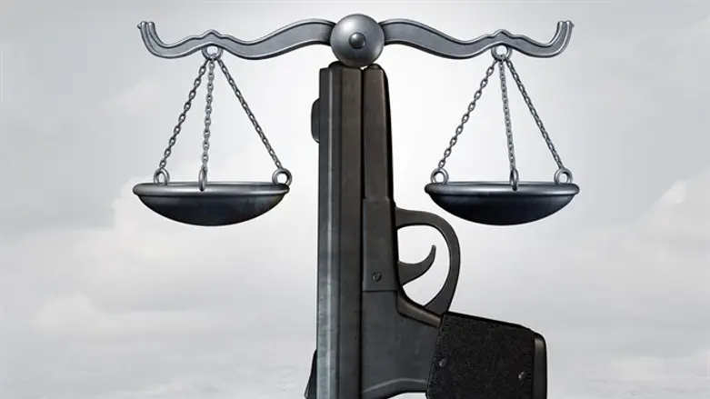 Gun law