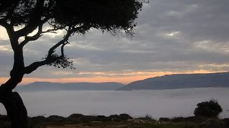 הר כביר. פדואל