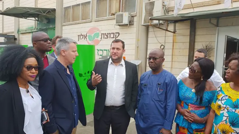 הדיפלומטים בברקן