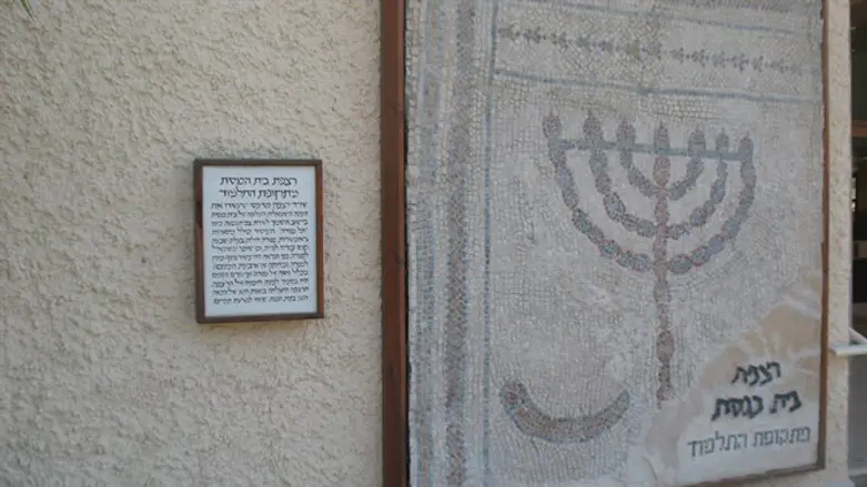 אור דולק בטירת צבי