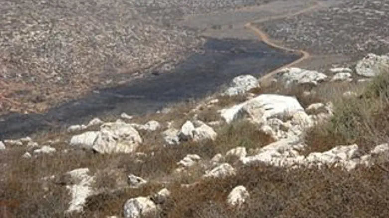 השטח השרוף