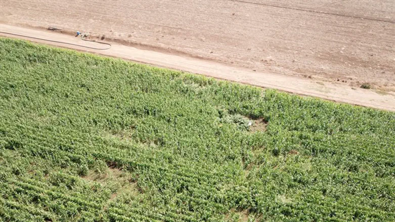 מנסים לשנות את התדמית. השדות ההרוסים