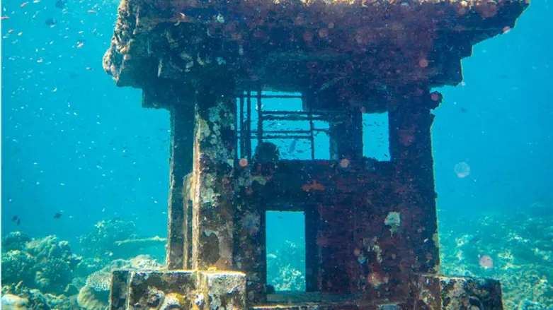 חיים שלמים מתחת למים