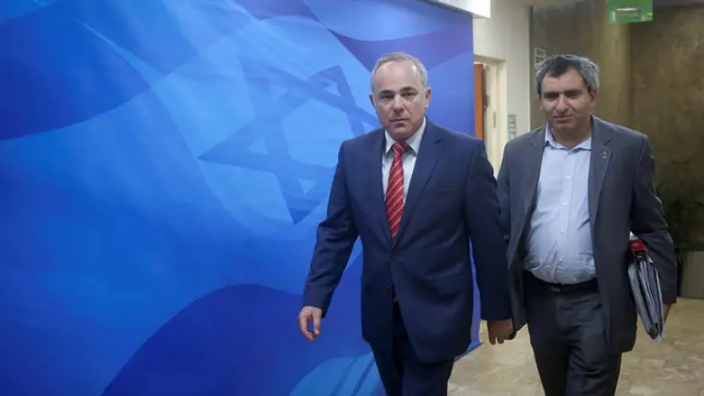 שטייניץ ואלקין