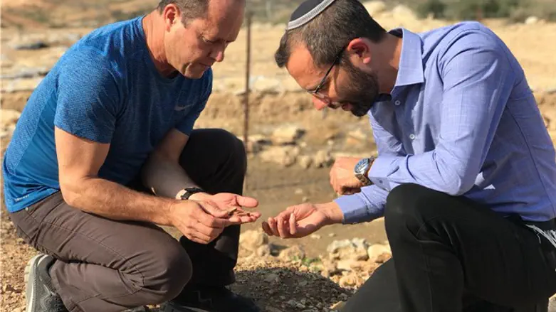 גנץ וברקת