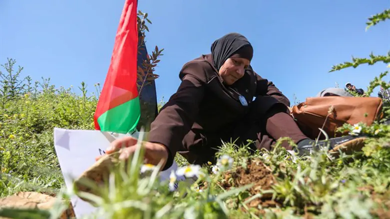 Палестинцы сажают деревья в округе Биньямина