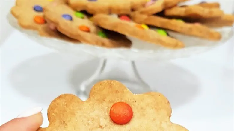 עוגיות שוקולד צ'יפס ססגוניות