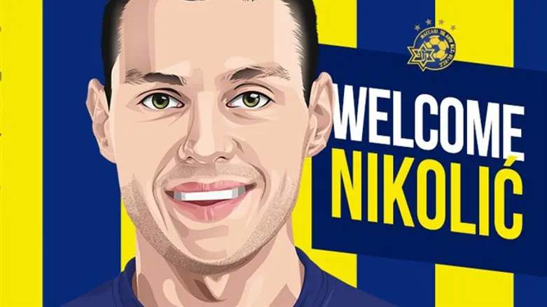 יוצא מאירופה. ניקוליץ'