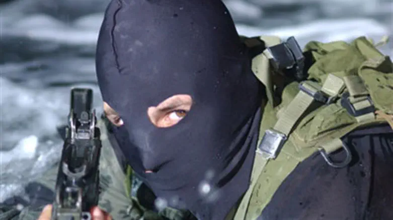 IDF commando (illustration)