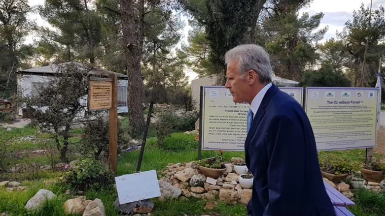 סגן השר בעוז וגאו"ן