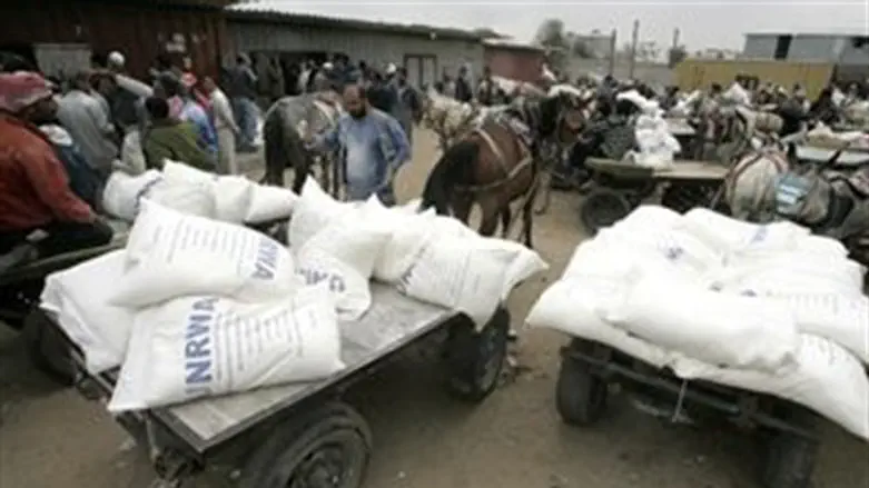 העברת מזון לעזה (ארכיון)