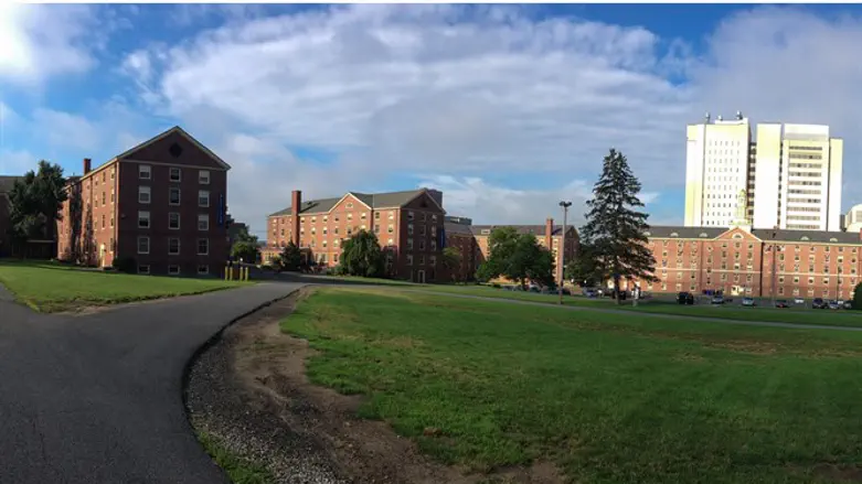 UMass Amherst