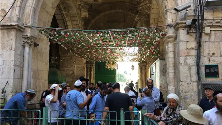 שער השלשלת. ארכיון