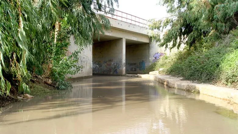 אנשים בני שישים עוד זוכרים את הימים שבהם טבלו בנחל לכבוד שבת. נחל תנינים