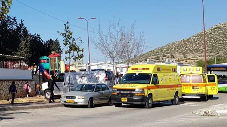 הפעוטון במודיעין עילית