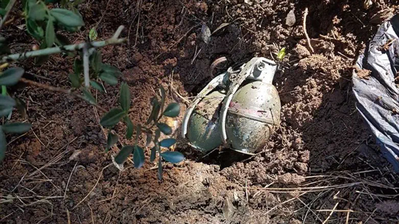 שני הרימונים שאותרו ביער ליד מצפה נטופה