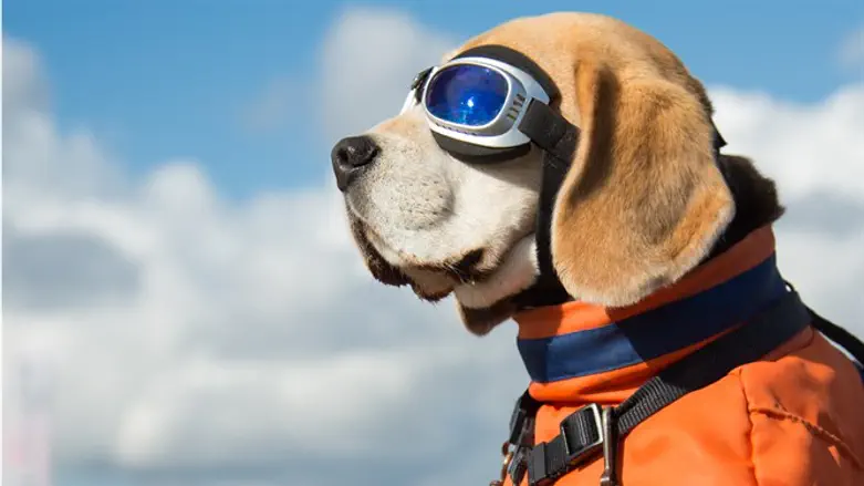 לא תאמינו מי הקפטן