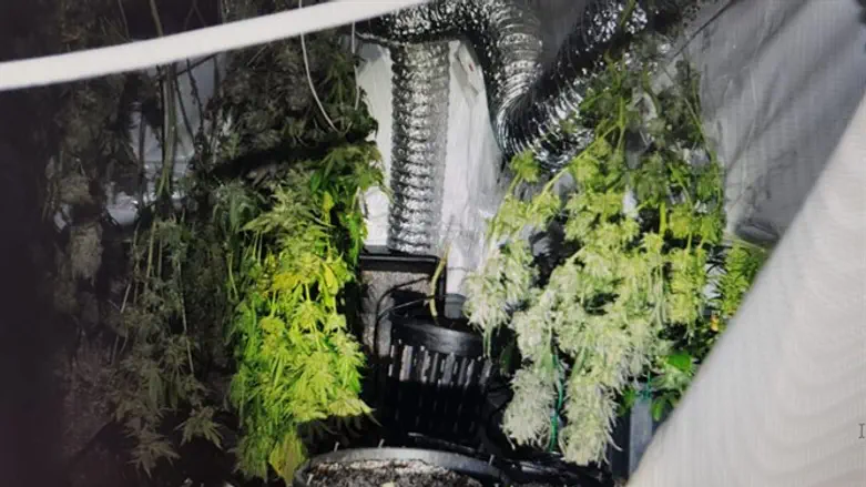 מעבדת הסמים