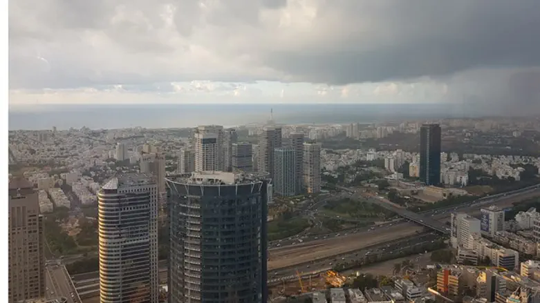 עו"ד נועם קוריס