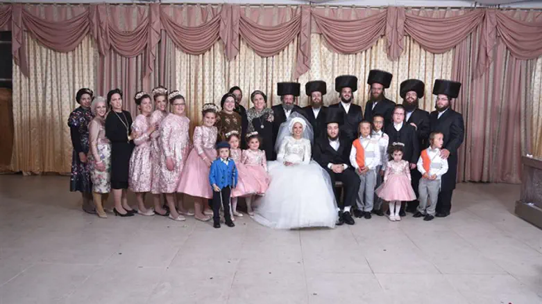 Hominer Family