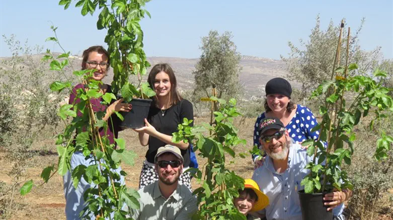 Tree planting Tapuach and Tekoa )