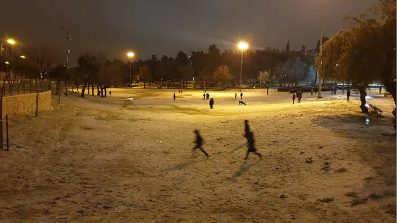 שלג בגן סאקר