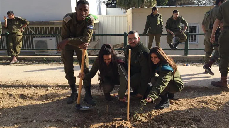 ט"ו בשבט בצה''ל