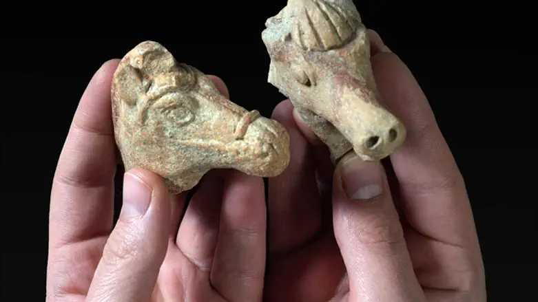 צלמית סוס שנמצאה בתל עכו