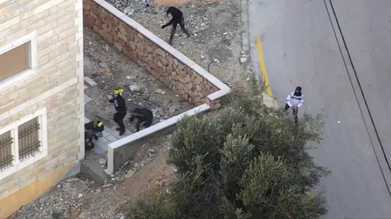 Беспорядки в Текоа