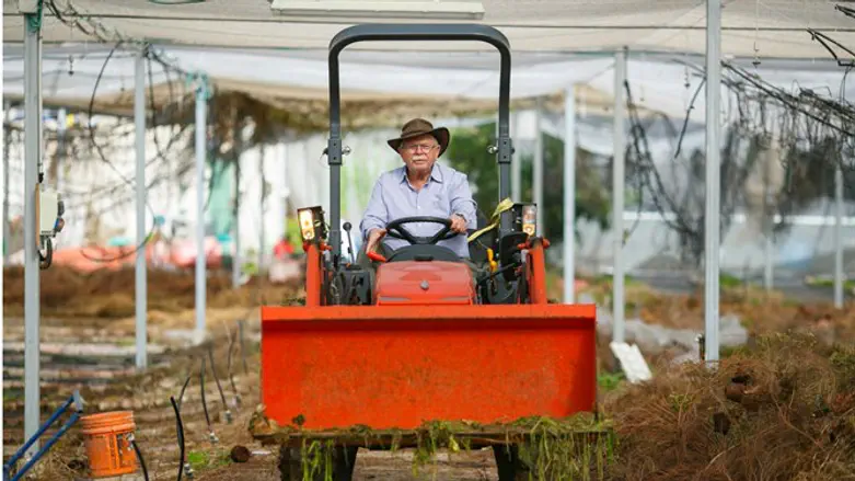 "חקלאות היא סיכון מטורף. אבל העדפתי לשים את הכסף על הברזלים של החממות". סנדר